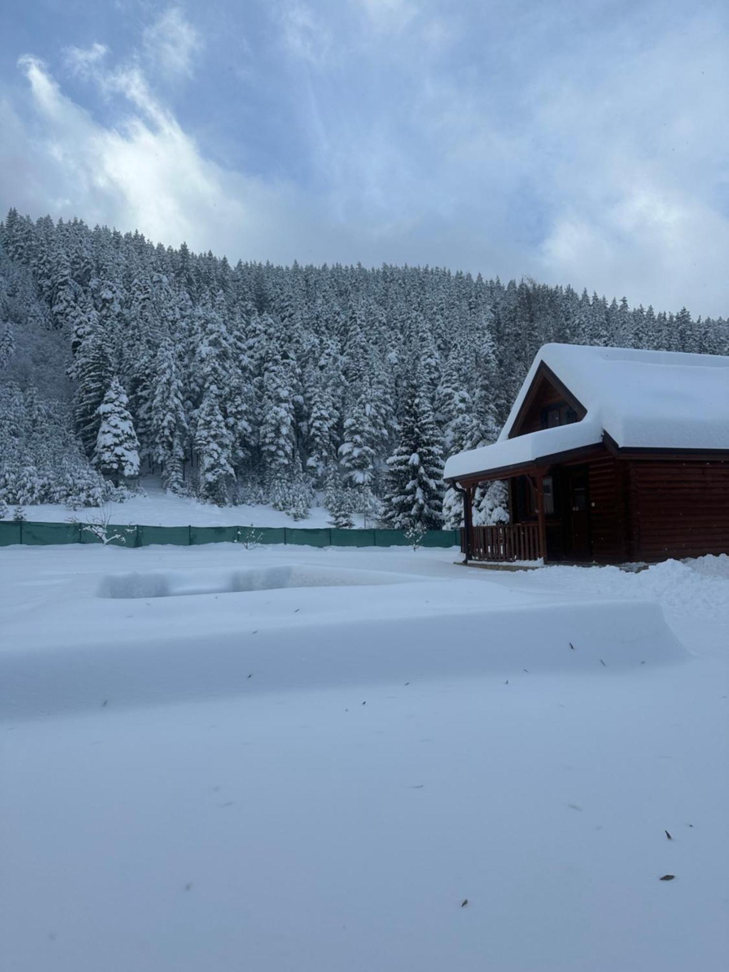 Villa Paradise เบลิอิสการ์ ภายนอก รูปภาพ