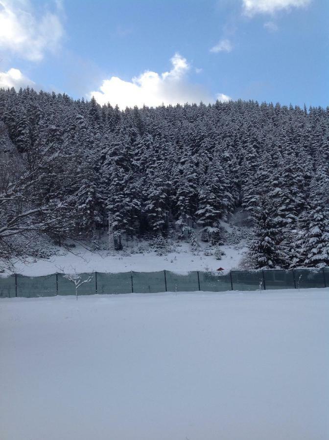 Villa Paradise เบลิอิสการ์ ภายนอก รูปภาพ